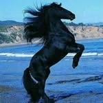 Noel Fernandez Pangan - @noel.pangan.779 - Instagram