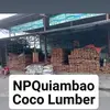 noelpanganquiamba - @noelpanganquiamba - TikTok