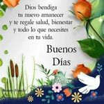 Noel Parra - @noelmanuelparra - Instagram