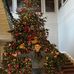 Noel Patrick  - Facebook
