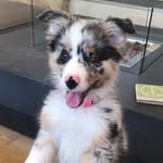 Pepper Noel - @pepper__noel - Instagram