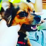 XxgrefthrevixX - @noelperera539 - Instagram