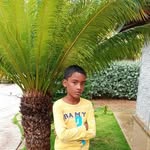 Noel Petit - @noel.petit.52012 - Instagram