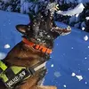 Noel Petit - @noel.petit63 - TikTok