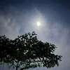 Noel Pham - @noel.pham7 - TikTok