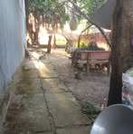 Noel Pham - Facebook