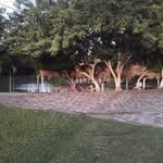 Noel Edgardo Posadas - @posadasnoeledgardo - Instagram