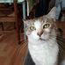 Noel Prevost - Facebook