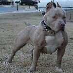 Noel	Puente - @noel_puente_1200 - Instagram