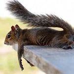 Noel Putman - @noelputman - Instagram