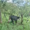 Noel Rayos Arostegui - @noel.rayos.aroste - TikTok