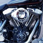 noel robertson - @palmerlakevtwin - Instagram