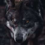 Noel - @noel.schmidt12 - Instagram