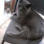 noel schmidt - @noelschmid4 - Instagram
