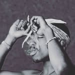noelschmidt - @schmidtnoel881 - Instagram