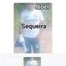 Noel Sequeira - Facebook