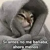 Noel solis - @noel.solis7 - TikTok