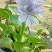 Noel Solis - Facebook
