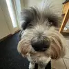 Noelstark - @noelstark08 - TikTok