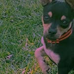 Noel - @noel_____stokes_cfqfb - Instagram