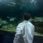 Noel Suchil - @suchil_15 - Instagram