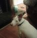 Noel Sullivan - Facebook