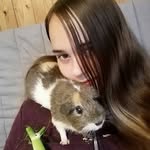 NOEL - @noel_____swiftyzrf - Instagram