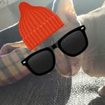 noel sylvester - @noel333__ - Instagram