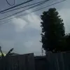 noelsylvester949 - @noelsylvester949 - TikTok