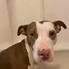 Ericanoelterrell - @ericanterrell - TikTok