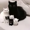 Noelterry@ - @noelterry1124 - TikTok