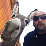 Noel Toscano - @noel.toscano.9 - Instagram