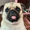 Noel 2412 - @noeltran2412 - TikTok