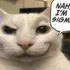 mae - @no.el.tuazon - TikTok