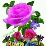 Noel Valle - Facebook