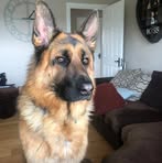 Noel Wade - Facebook