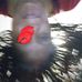 Noel Wade - Facebook