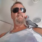 Noel Wallis - @noel.wallis.12 - Instagram
