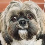 Noel Wallis - @noelwallis - Instagram