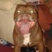 Noel Warren - Facebook