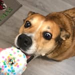 Noel - @noel_belle_weaver - Instagram