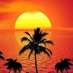 Noel Weeks - Facebook