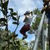 Niall Wildman - Facebook