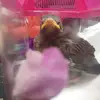 Noelia Espinal - @noelia.espinal1 - TikTok