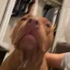 Noel - @noeldobson - TikTok