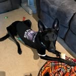 Brittney Noelle Mullins-Farmer - @mullinsfarmer - Instagram