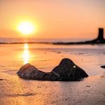 Noel Freeman - @sun.rise.stu.dio - Instagram