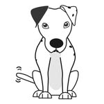 Noelle Harris - @happy4tailtimellc - Instagram