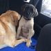 Noelle Harris - Facebook
