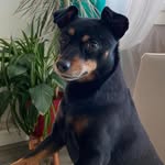 Noëlle Moralés - @noellemorales78 - Instagram